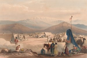 El Campamento en Dadur, con la Entrada al Paso Bolan de James (after) Atkinson