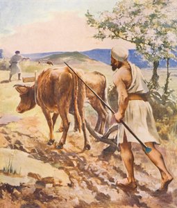 Tierra Santa: Arando cerca de Nazaret (litografía en color) de James (after) Clark
