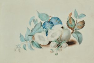 Naturaleza muerta