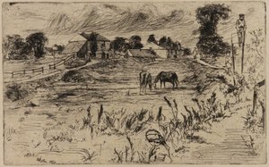 Paisaje con Caballos