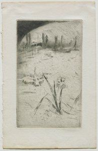 Cisne e Iris, 1883