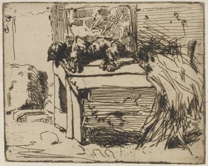 El perro en la perrera, 1858 (aguafuerte sobre papel) de James Abbott McNeill Whistler