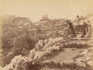 Capri [niño en mula] de James Anderson
