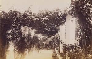 Jardín - Capri de James Anderson
