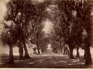 Villa Borghese de James Anderson