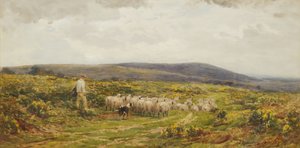 Un Común de Herefordshire, 1860-1900