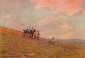 En las Colinas Cerca de Harting, c1870-1906 de James Aumonier