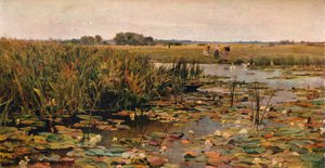 Nenúfares, c1870 de James Aumonier