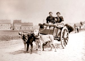 Perros tirando de mujeres en un carro, Amberes, 1898 de James Batkin
