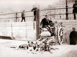 Hombre con carro de perros, Amberes, 1898