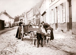 Mujeres y carro de perros, Amberes, 1898 de James Batkin
