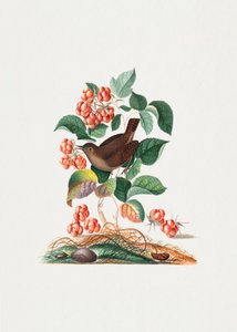  de James Bolton