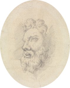 Cabeza de hombre barbudo