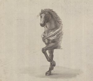 Estudio de la parte delantera de un caballo de James Bruce