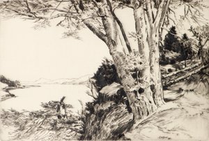 El Haya de James Cadzow
