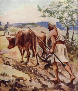 Arando cerca de Nazaret