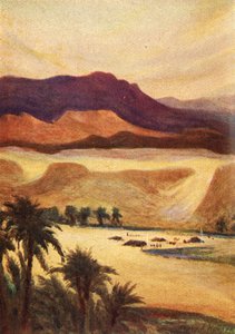 Un campamento en Palestina en Elim - Heb. xiii. 11