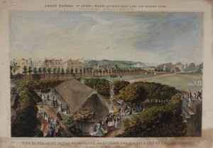 Vista de las terrazas y jardines de la Abadía Taverns, Violet Hill, Marylebone, c.1870 de James D Barnett