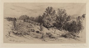 Un campo en barbecho de James David Smillie