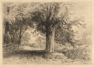 A Farm Lane, enero de 1887, Opus 2 de James David Smillie