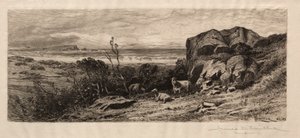 En Marblehead Neck de James David Smillie