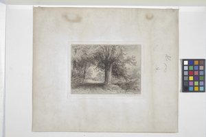 Paisaje (aguafuerte, chine collé) de James David Smillie