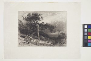 Viejos cedros, costa de Maine (tinta, pluma, lápiz) de James David Smillie