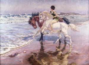 Un paseo en la playa