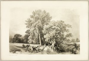 Abele y el roble, de El parque y el bosque de James Duffield Harding
