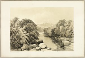 Fresno, sicomoro y roble, de El parque y el bosque de James Duffield Harding