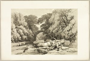 Fresno y aliso en el Greta, de El parque y el bosque de James Duffield Harding