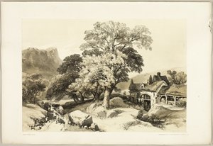 El fresno y el roble, de El parque y el bosque
