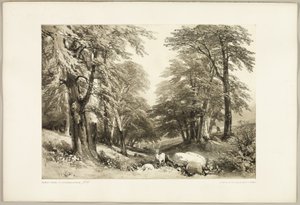 Hayas en el Parque Arundale, de The Park and the Forest de James Duffield Harding