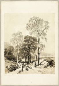 Abedul y roble, de El parque y el bosque de James Duffield Harding