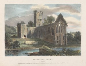 Abadía de Buttevent de James Duffield Harding