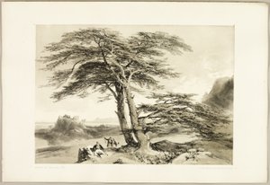 Cedros del Líbano, de El parque y el bosque de James Duffield Harding
