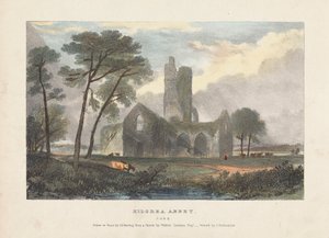 Abadía de Kilcrea de James Duffield Harding
