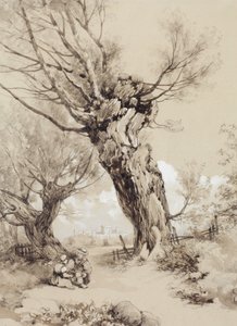  de James Duffield Harding