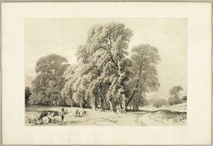 Plátanos, de El parque y el bosque de James Duffield Harding