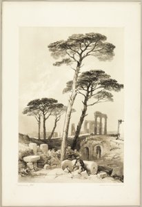 Pinos de Piedra, del Parque y el Bosque de James Duffield Harding