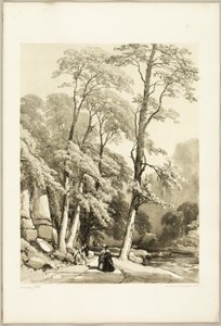 Sicomoro, de El parque y el bosque de James Duffield Harding