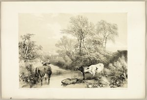 Espino, sauce, haya y abedul, de El parque y el bosque de James Duffield Harding