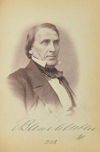 Elihu B. Washburne de James Earle McClees
