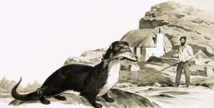 Nutria con pez y hombre pescando