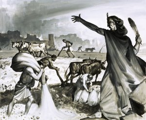 Auge y caída de Cartago: La maldición romana sobre Cartago de James Edwin McConnell