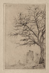 Acacia de James Ensor