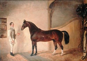 Mozo con cazador en la finca Tredegar, Monmouthshire de James Flewitt Mullock