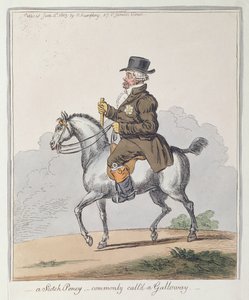 Un Poney Escocés, comúnmente llamado Galloway, publicado por Hannah Humphrey en 1803