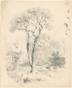 Un claro de árboles de James Goodwyn Clonney