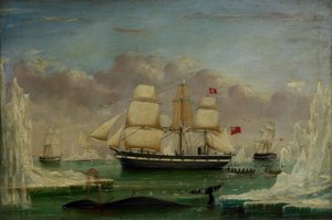El ballenero "Diana" (óleo sobre lienzo) de James H. Wheldon